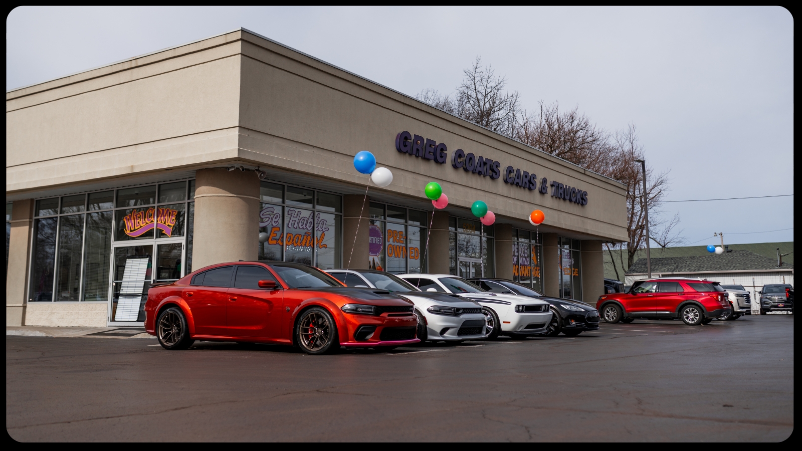 1.20 Without text (2)